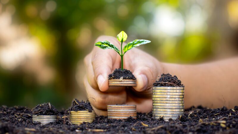 Hand placing a small plant growing on coins, symbolizing financial growth and health.